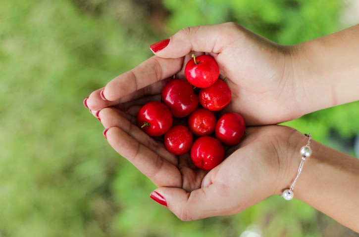 handfulcherries